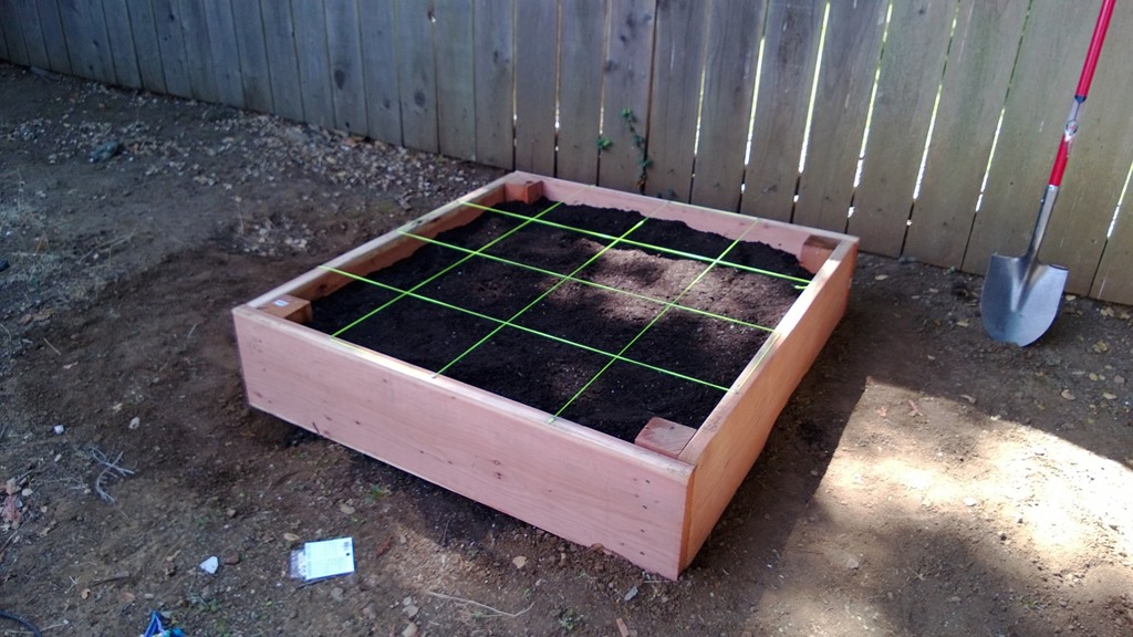 Square Foot Garden Picture