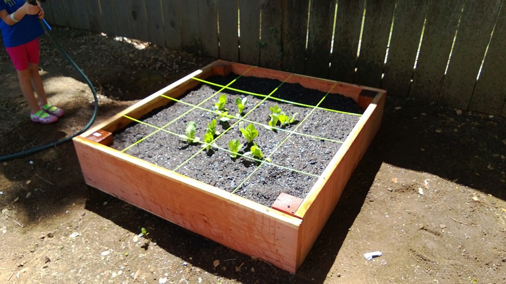 Square foot garden after planting
